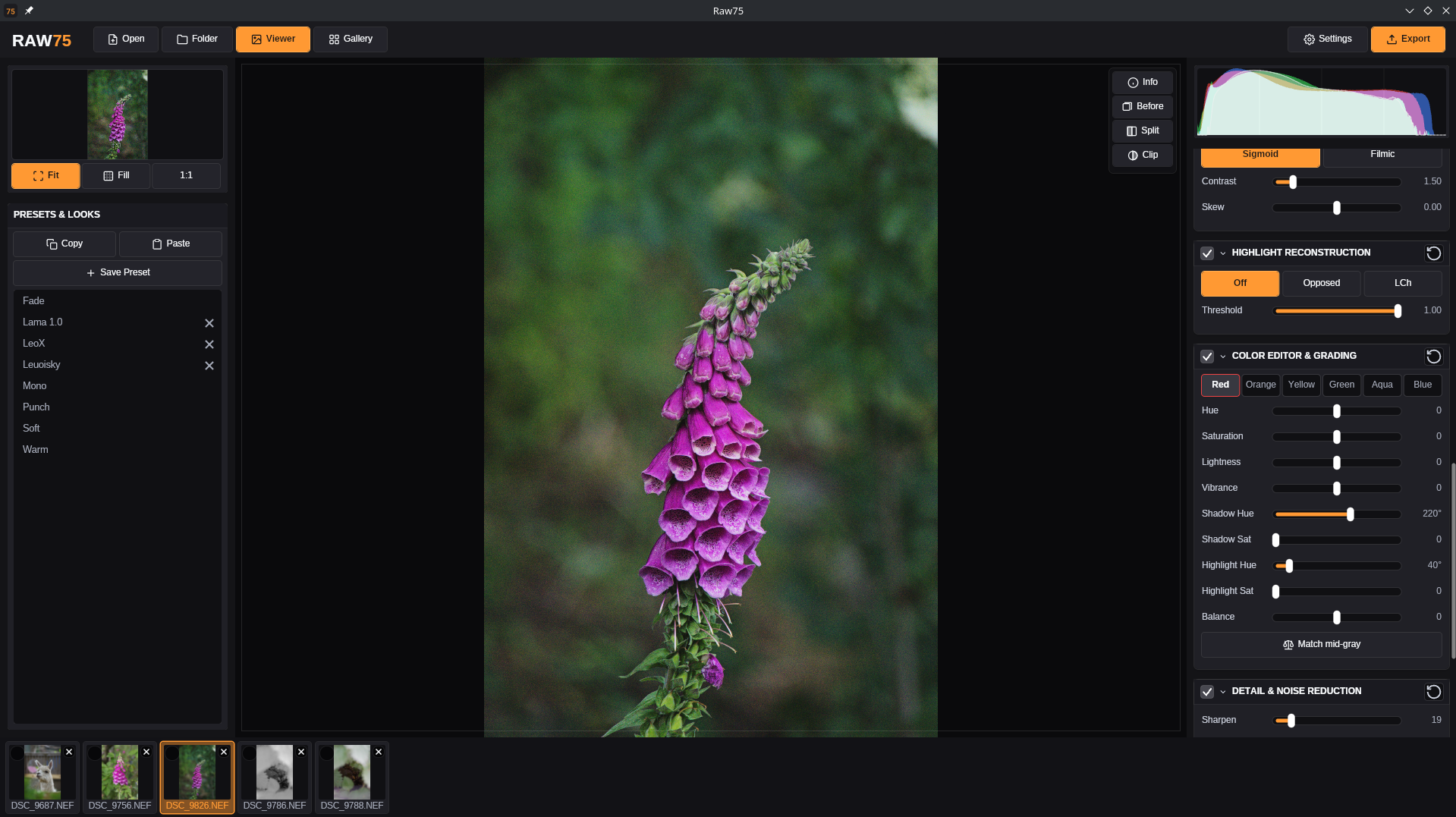 RAW75 with a foxglove photo open and the editing panels on the right